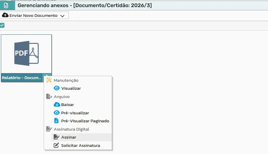 Gerenciamento de anexos da RMF com o menu Assinatura Digital, opção Assinar